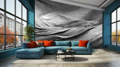 Black and white background texture, different shades of grey, white and dark black , luxury and flowing abstract design
 Wall mural