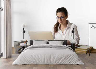 A female freelance marketer for online work uses a laptop, sits at a desk in the office. Wall mural