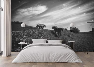 two happy couples Horses Wall mural