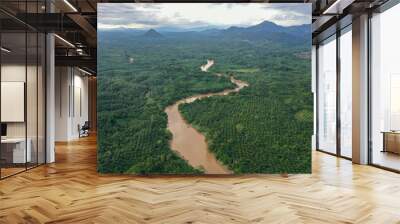 Aerial view of the wild river with the old wooden bridge connecting between two mainland in Kampung Imbak, Tongod, Sabah, Malaysia, Borneo. Wall mural