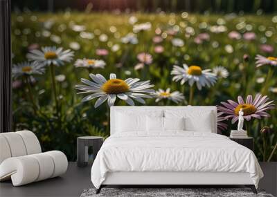 Meadow with lots of white and pink spring daisy flower. generative.ai Wall mural