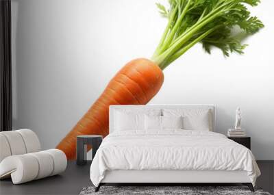 A carrot is shown with its green top still attached Wall mural