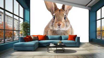 A cute brown rabbit with large ears and a fluffy coat sits on a transparent background Wall mural