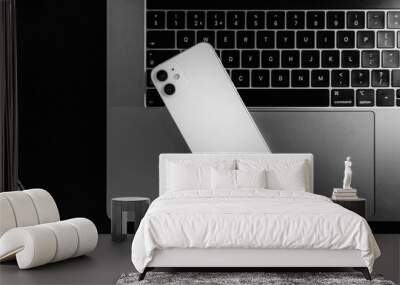 iPhone 12 Mini back - Diagonal Wall mural