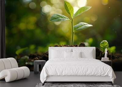 Young plant seedling growing in fertile soil during sunrise or sunset Wall mural