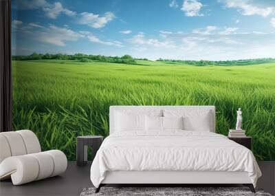 Landscape view of green grass on slope with blue sky and clouds background. Wall mural