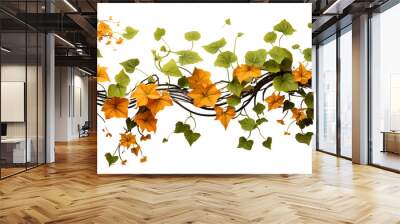 Pumpkin leaves vine plant stem and tendrils isolated on transparent background. Wall mural