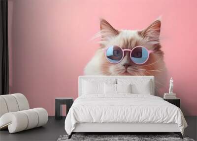 Creative animal concept. Ragdoll cat kitten in sunglass shade glasses isolated on solid pastel background, commercial, editorial advertisement, surreal surrealism Wall mural