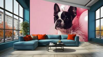 Creative Boston Terrier dog puppy in glam fashionable couture high end outfits isolated on solid pastel background advertisement, copy text space. birthday party invite invitation Wall mural