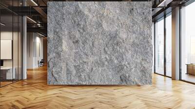 granite stone texture, grey granite from Italy, wallpaper and texture suitable for rendering Wall mural