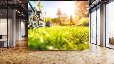 Lawn mower cutting green grass in backyard, mowing lawn. No person Wall mural