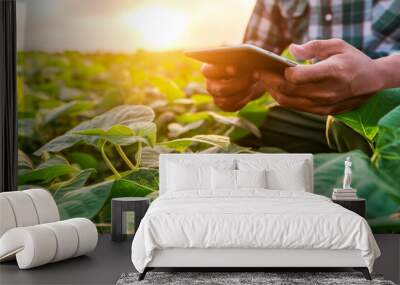 Male farmer holding tablet on soybean farm agricultural field, Technology agriculture farming concept Wall mural