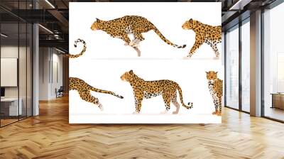 Set of cheetah or leopard in different angles and emotions in a cartoon style. Vector illustration of predators African animals isolated on white background. Wall mural