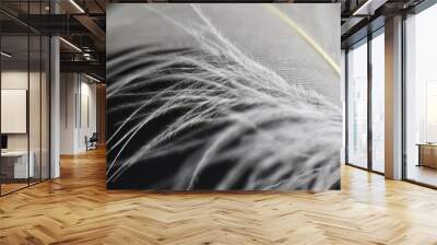 extreme close up of white feather macro photography  Wall mural