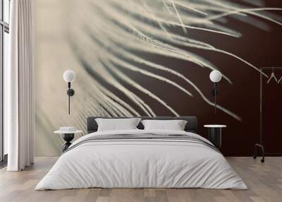 texture of a white feather  Wall mural