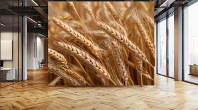 golden wheat field,wheat field in summer Wall mural