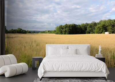 Field of gold Wall mural