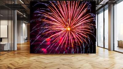 Firework fireworks celebration blue spikes red purple yellow Wall mural