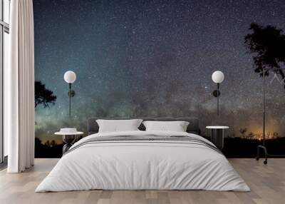 Silhouette of Australian outback panorama in front of milky way and zodiacal light Wall mural