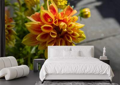 Yellow and Orange Summer Flowers Wall mural