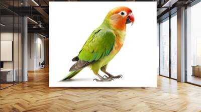 cute little yellow and green lovebird / macaw isolated over a transparent background, cut-out pet parrot or exotic wildlife design element, generative AI Wall mural