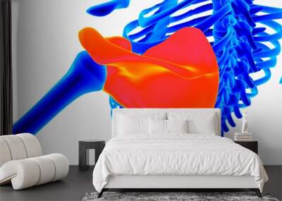 Human skeleton anatomy for medical concept 3D illustration with blue and orange color combination Wall mural