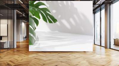 3D beautiful foliage of tropical monstera plant in sunlight, leaf shadow on glossy table counter and white wall with space in background for luxury summer, nature, organic product display backdrop Wall mural