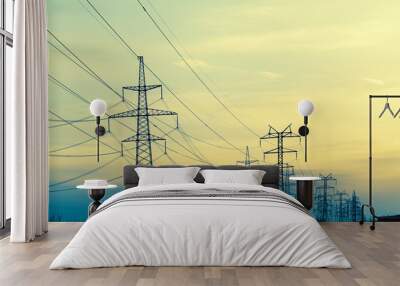 Power Line Wall mural