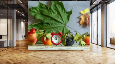 Ripe and tasty apples and a small red alarm clock. Wall mural