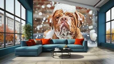 Happy and playful cute dog playing in a foam bath with foam on his face, photography style Wall mural