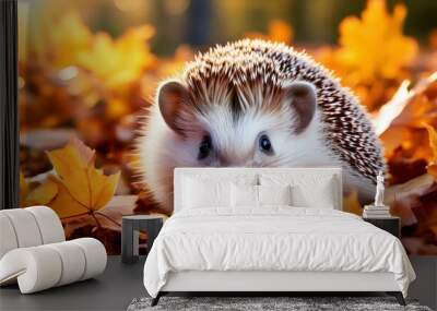 Illustration of a Hedgehog in an autumn environment Wall mural