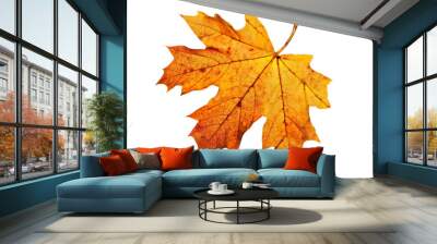 autumn yellow maple leaf, isolated Wall mural