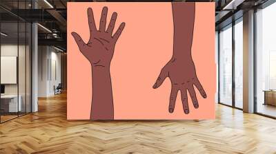 dark skinned human hand, front (left) and back (right) side of an adult human left hand Wall mural