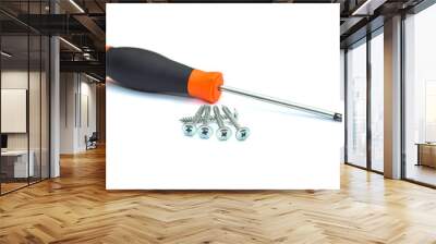 Hand screwdrivers and screws isolated on white background. Wall mural