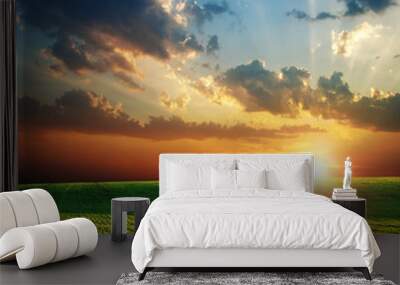 agricultural green field and sunset Wall mural