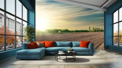 black agriculture field in sunset Wall mural