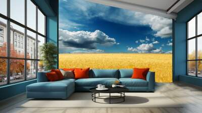 dramatic sky over field with golden harvest Wall mural