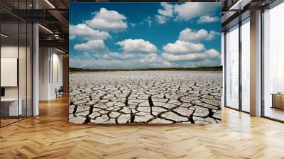 global warming. dramatic sky over cracked earth Wall mural