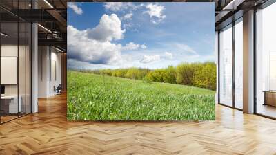 green grass near wood under cloudy sky Wall mural