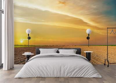 orange sunset over black agriculture field Wall mural