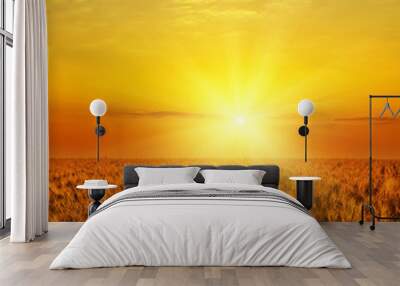 red sunset over golden color harvest Wall mural