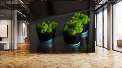 moss in black and blue concrete pot Wall mural