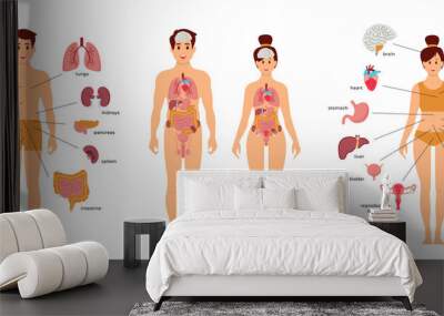 Human body anatomy structure. Male and female human organs: thyroid, heart, , kidneys, liver, lungs Wall mural