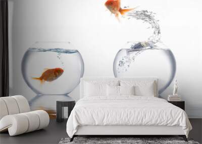 Jumping golden fish Wall mural