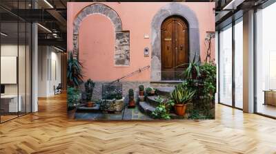 Beautiful plants in pots surround ancient doorway with stone stairs in medieval town, Tuscany, Italy. Picturesque travel postcard. Wall mural