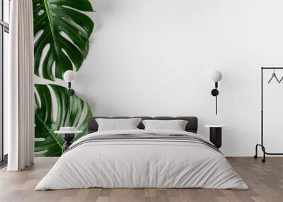 Tropical monstera leaves on white background. Summer concept. Wall mural