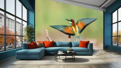 The Rainbow Bee-eater is perched on a tree branch. The bird comes from a bird family called Meropidae and is found in Turkey. Wall mural