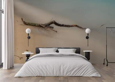 Driftwood laying on the beach Wall mural