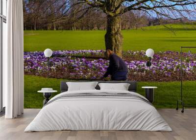 Women next to a tree with plenty of blooming crocus flowers, a p Wall mural