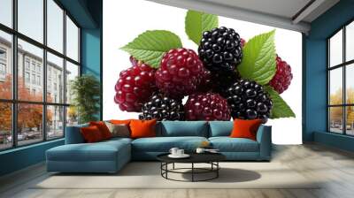 A bunch of mulberries on a transparent background. Wall mural